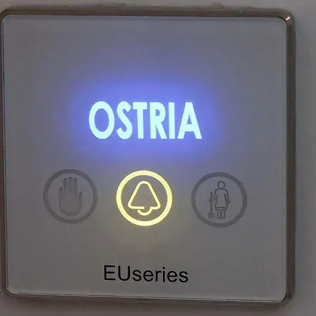 Anemoessa Elegant *